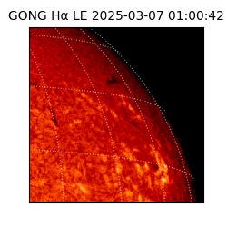 gong - 2025-03-07T01:00:42