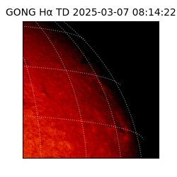 gong - 2025-03-07T08:14:22