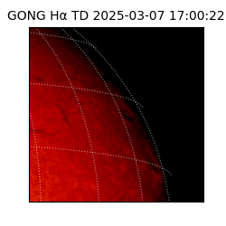 gong - 2025-03-07T17:00:22
