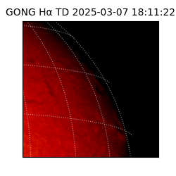 gong - 2025-03-07T18:11:22