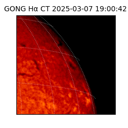 gong - 2025-03-07T19:00:42