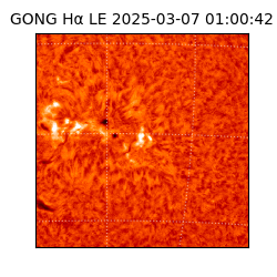 gong - 2025-03-07T01:00:42