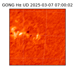 gong - 2025-03-07T07:00:02