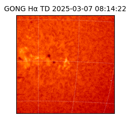 gong - 2025-03-07T08:14:22
