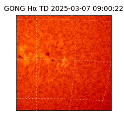 gong - 2025-03-07T09:00:22