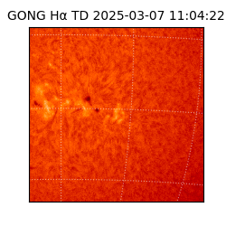 gong - 2025-03-07T11:04:22