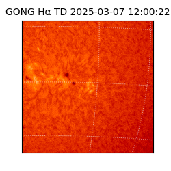 gong - 2025-03-07T12:00:22