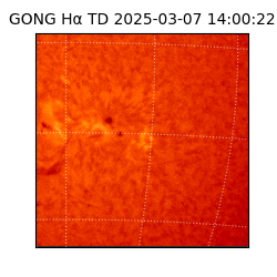gong - 2025-03-07T14:00:22