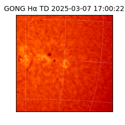 gong - 2025-03-07T17:00:22
