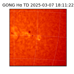 gong - 2025-03-07T18:11:22