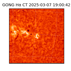 gong - 2025-03-07T19:00:42