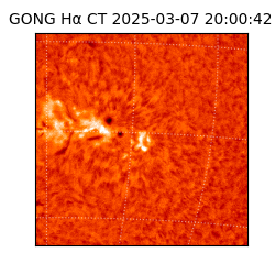 gong - 2025-03-07T20:00:42