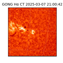 gong - 2025-03-07T21:00:42