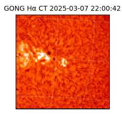 gong - 2025-03-07T22:00:42