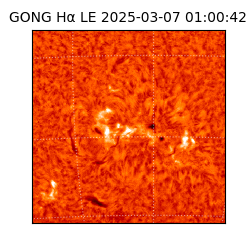 gong - 2025-03-07T01:00:42