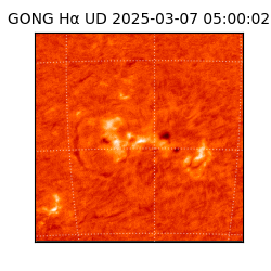 gong - 2025-03-07T05:00:02