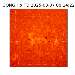 gong - 2025-03-07T08:14:22