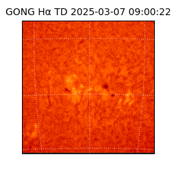 gong - 2025-03-07T09:00:22