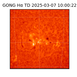 gong - 2025-03-07T10:00:22