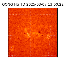 gong - 2025-03-07T13:00:22