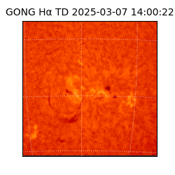 gong - 2025-03-07T14:00:22