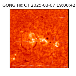 gong - 2025-03-07T19:00:42