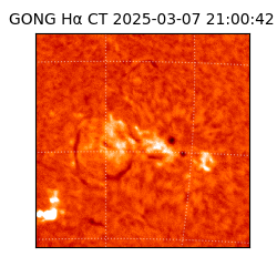 gong - 2025-03-07T21:00:42