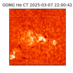 gong - 2025-03-07T22:00:42