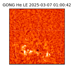 gong - 2025-03-07T01:00:42