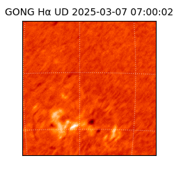 gong - 2025-03-07T07:00:02