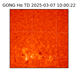 gong - 2025-03-07T10:00:22