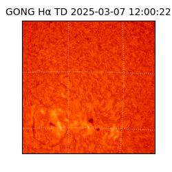 gong - 2025-03-07T12:00:22
