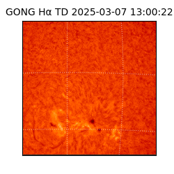 gong - 2025-03-07T13:00:22