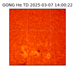 gong - 2025-03-07T14:00:22