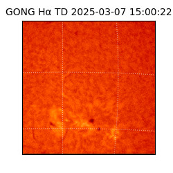 gong - 2025-03-07T15:00:22
