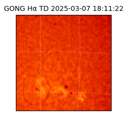 gong - 2025-03-07T18:11:22
