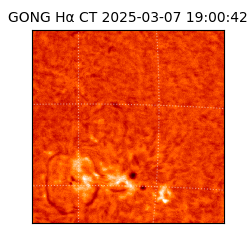 gong - 2025-03-07T19:00:42