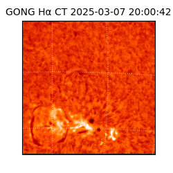 gong - 2025-03-07T20:00:42