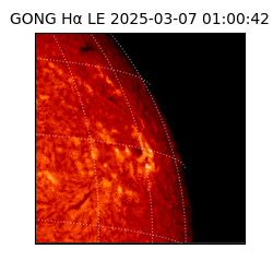 gong - 2025-03-07T01:00:42