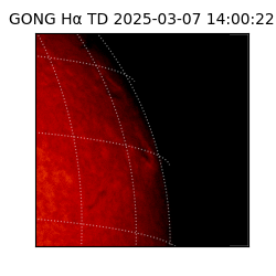 gong - 2025-03-07T14:00:22