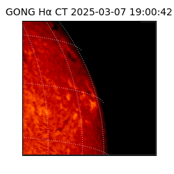 gong - 2025-03-07T19:00:42