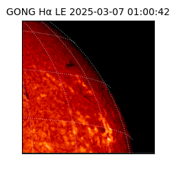 gong - 2025-03-07T01:00:42