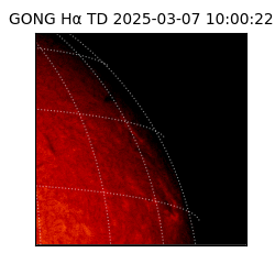 gong - 2025-03-07T10:00:22