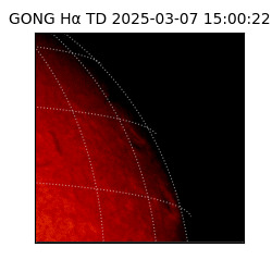 gong - 2025-03-07T15:00:22
