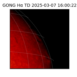 gong - 2025-03-07T16:00:22