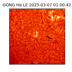gong - 2025-03-07T01:00:42