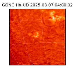 gong - 2025-03-07T04:00:02