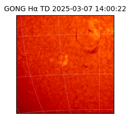 gong - 2025-03-07T14:00:22