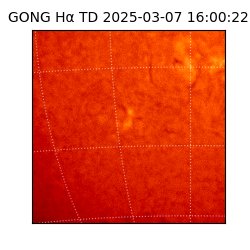 gong - 2025-03-07T16:00:22