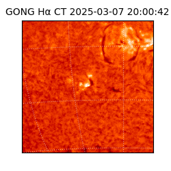 gong - 2025-03-07T20:00:42